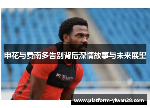 申花与费南多告别背后深情故事与未来展望